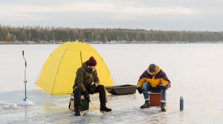 How Does Disposable Warmers Become the Social Event Essential in Outdoor Gatherings?